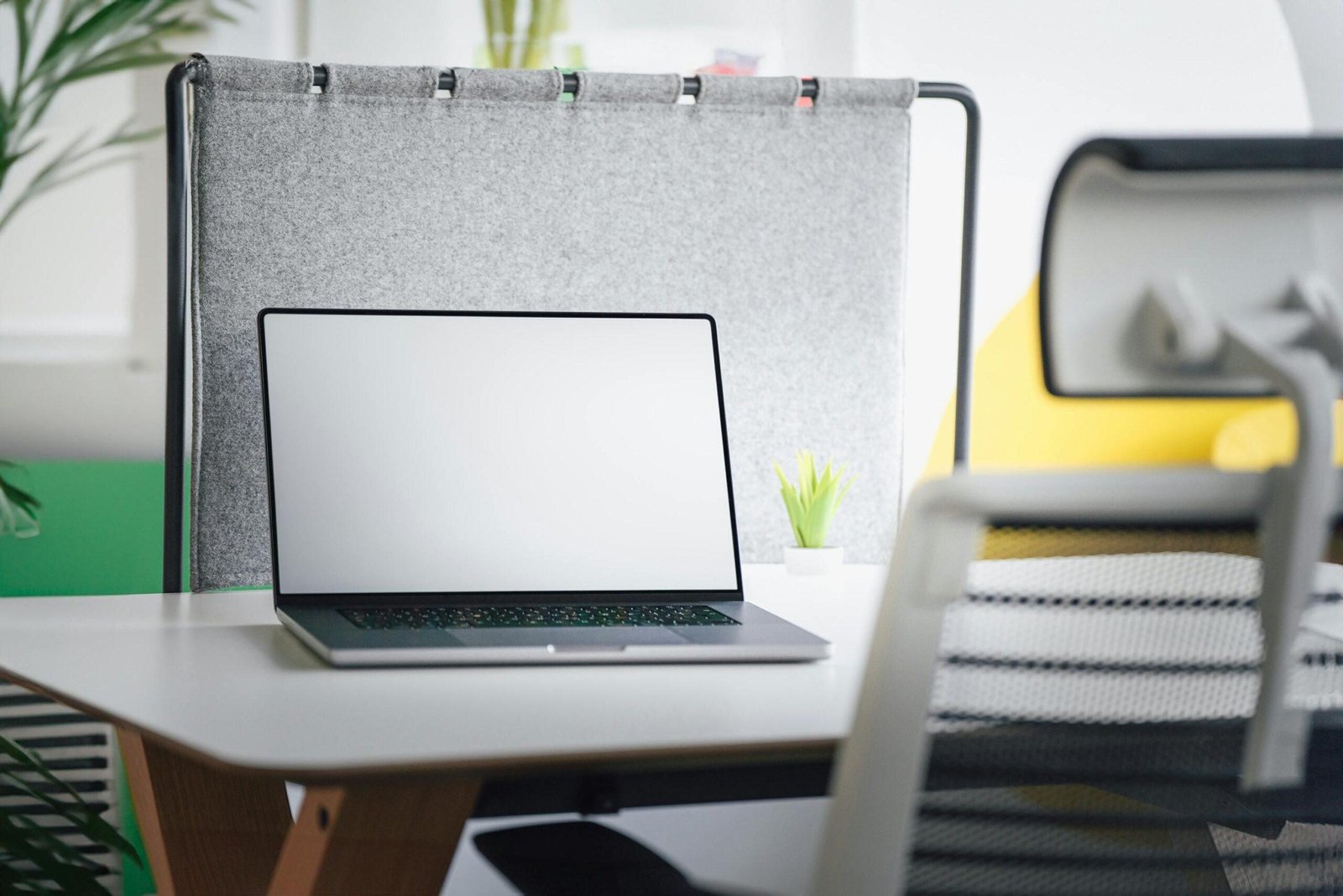 A contemporary office setup featuring a laptop, office chair, and a potted plant on a desk.